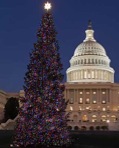 capitol-christmas-tree-21